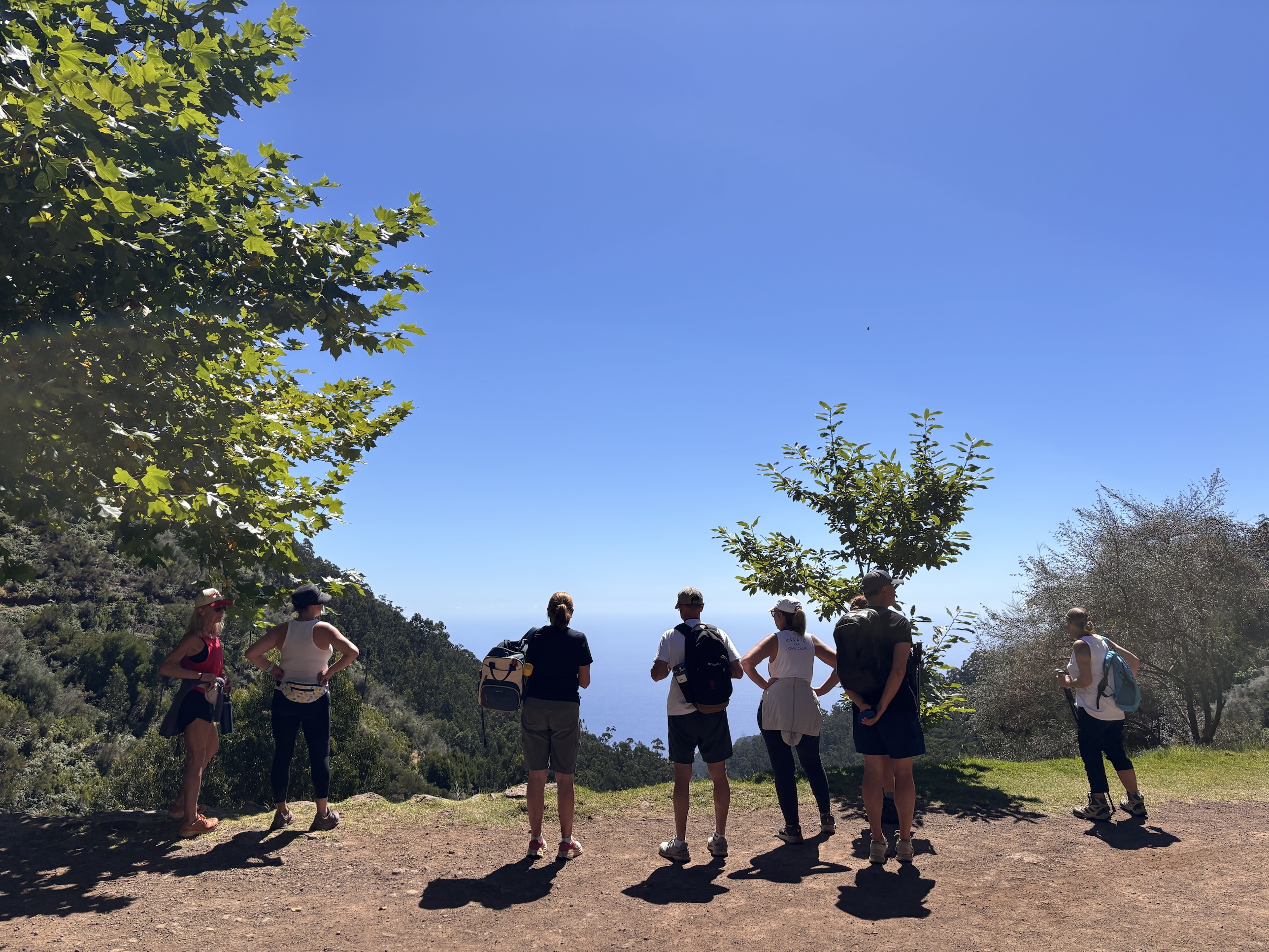 Madeira wellness retreat 2026