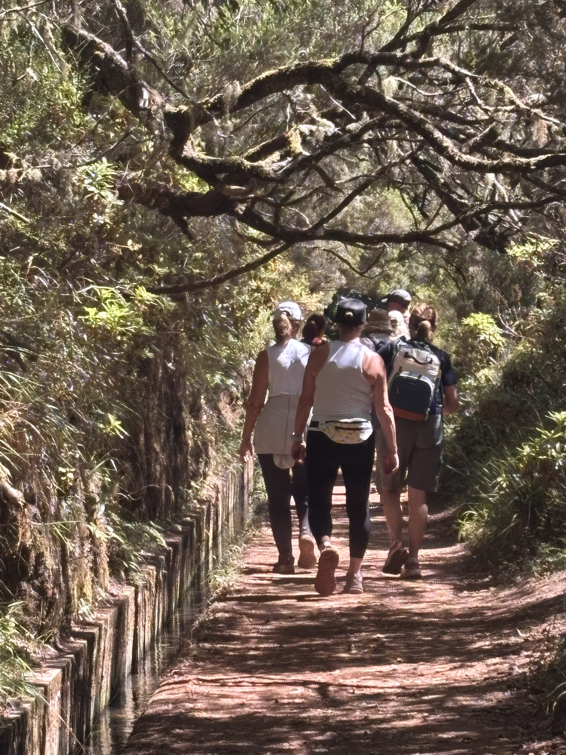 Madeira wellness retreat 2026